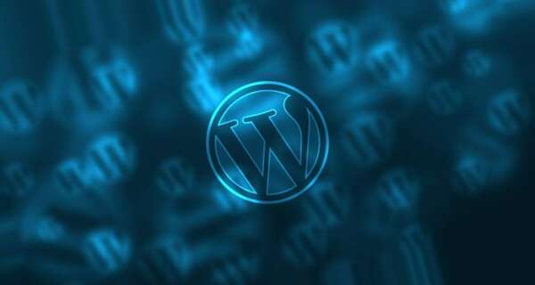 Wordpress Brandings entfernen