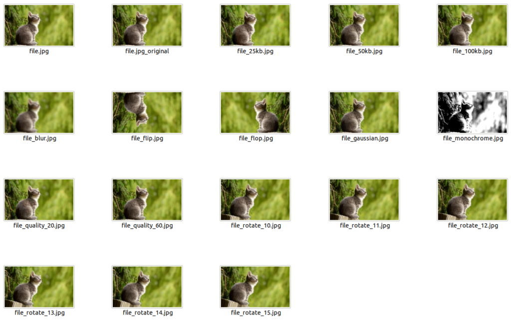 Ein Screenshot eines Dateiexplorers. Zu sehen sind die Kacheln verschiedener Bilder nebeneinander. Die Vorschaubilder zeigen jeweils das gleiche Bild einer grauen Katze auf einer grünen Wiese. Die Bilder sind jeweils gespiegelt, gedreht oder weichgezeichnet.