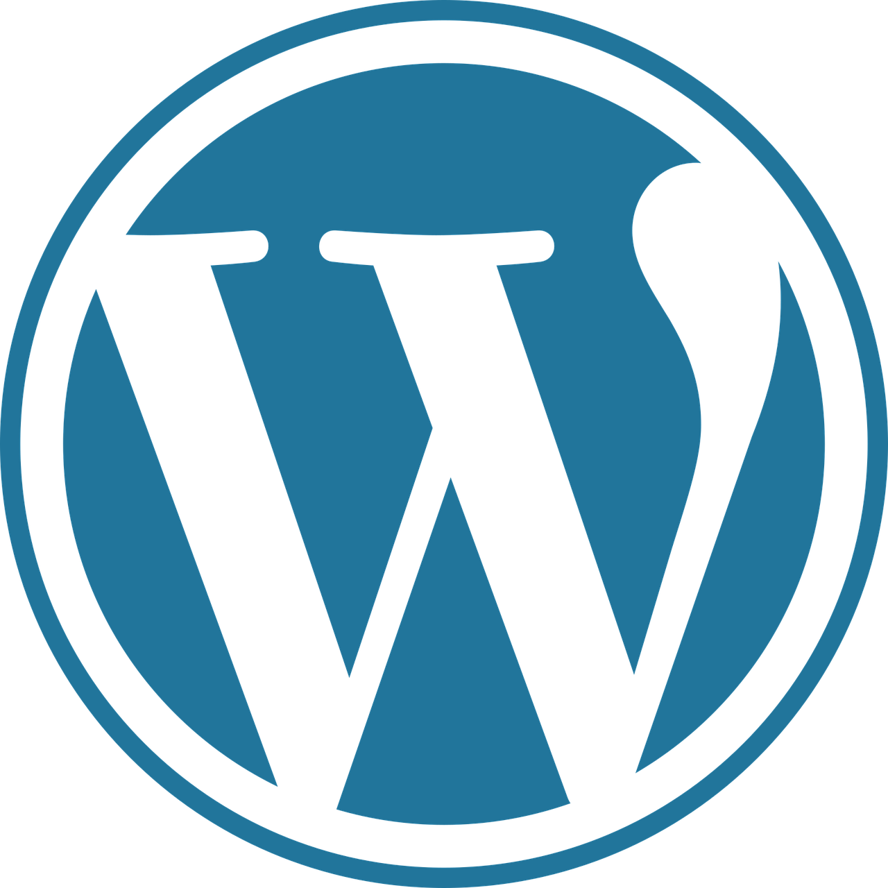 Das runde Wordpress-Logo. Ein weisses W mit Serifen in einem hellblauen Kreis.